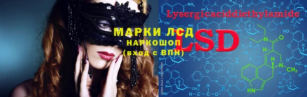 крисы Алзамай
