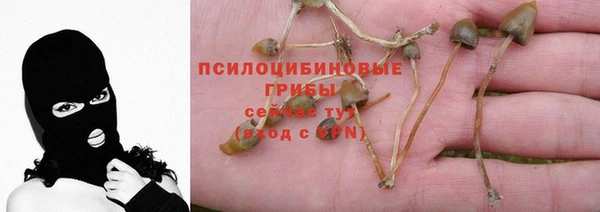 jwh Алексеевка