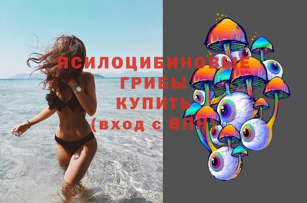 трава Осинники