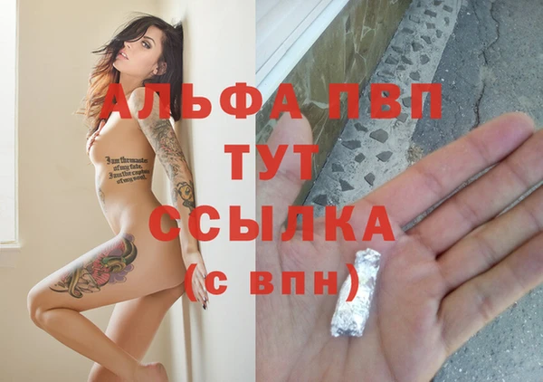 крисы Алзамай