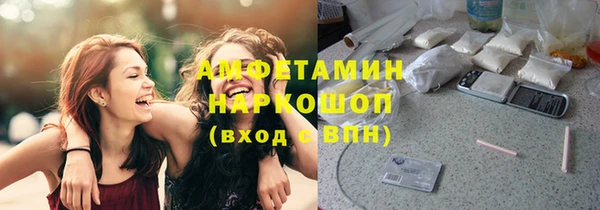 крисы Алзамай